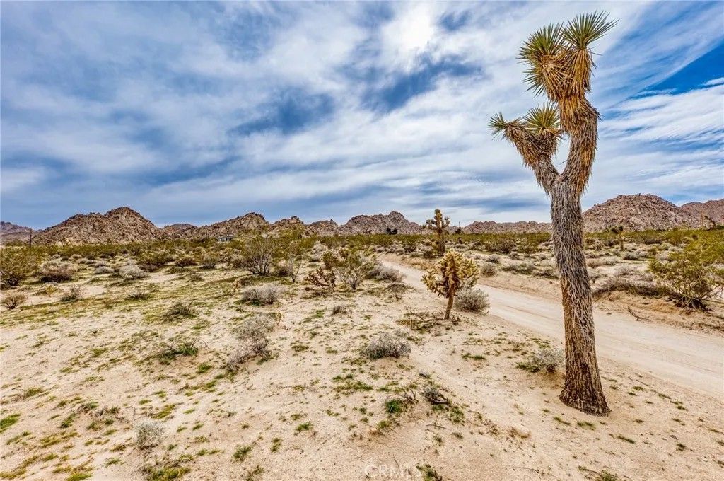 Photo of 130 Hollinger, Joshua Tree, CA 92252 (MLS # JT26029647)