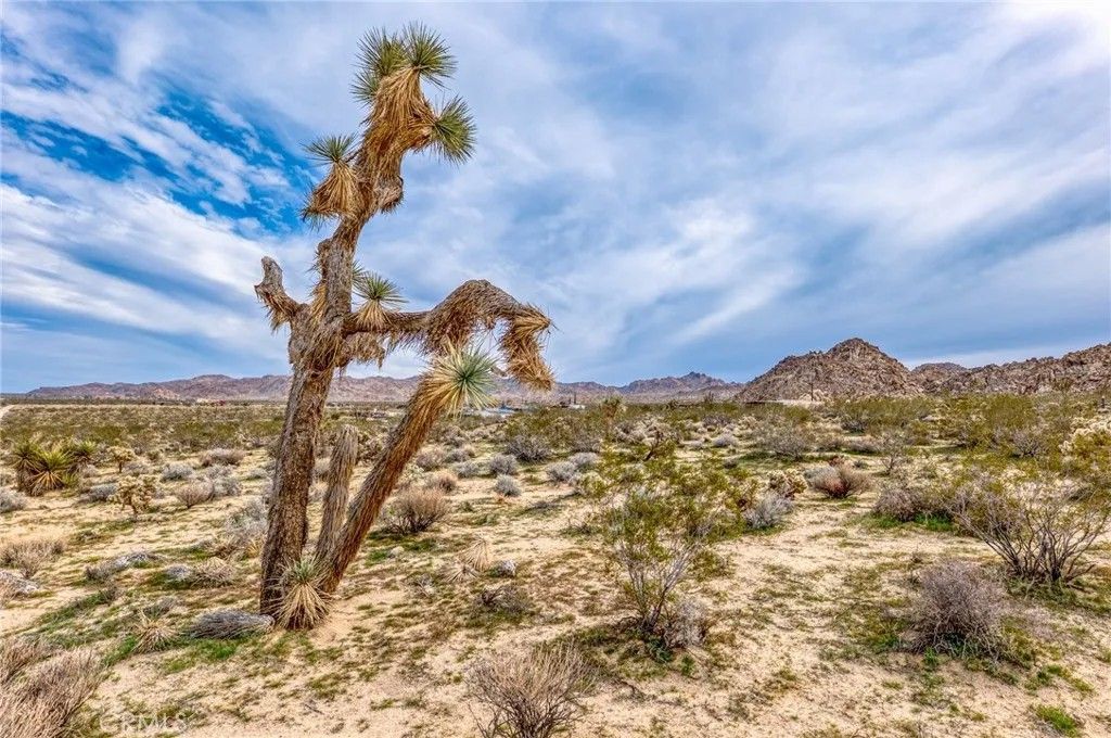 Photo of 130 Hollinger, Joshua Tree, CA 92252 (MLS # JT26029647)