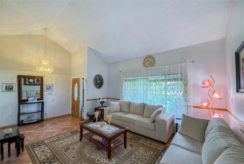 36790 Spanish Broom