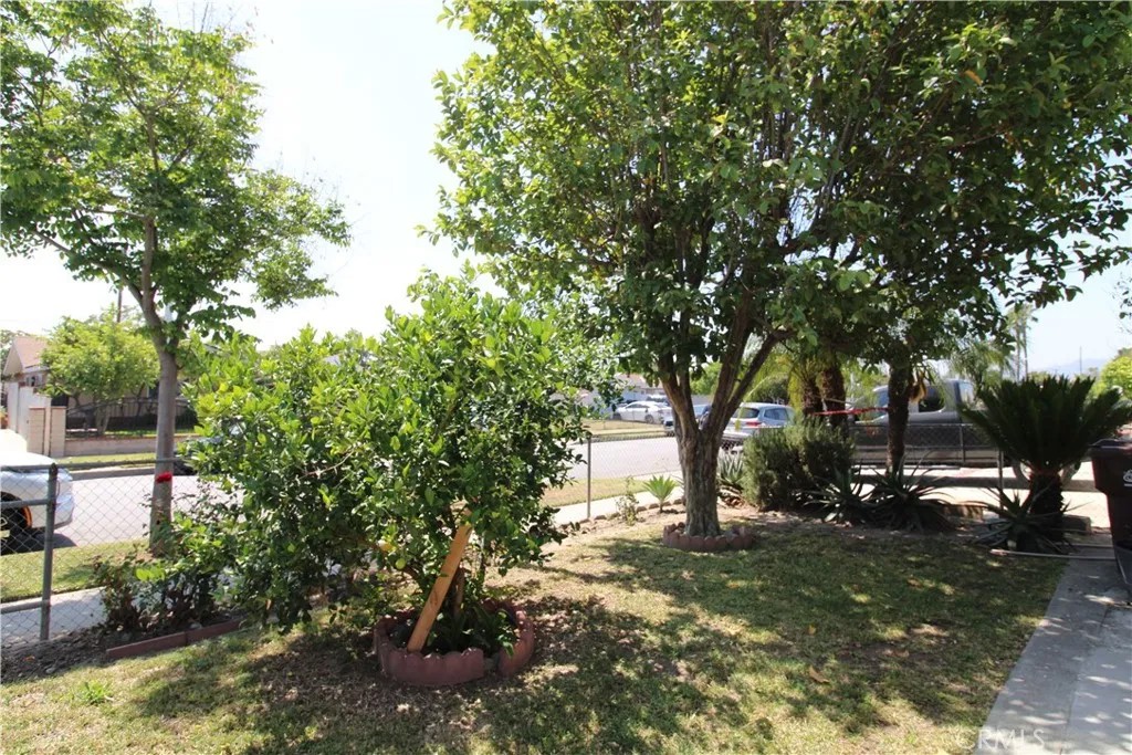 431 Cabana ave