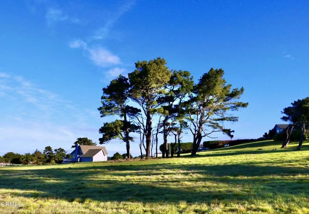 Photo of 14250 Polaris Cir, Mendocino, CA 95460 (MLS # C1-11298)