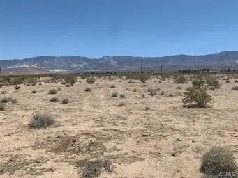 0 Desert View