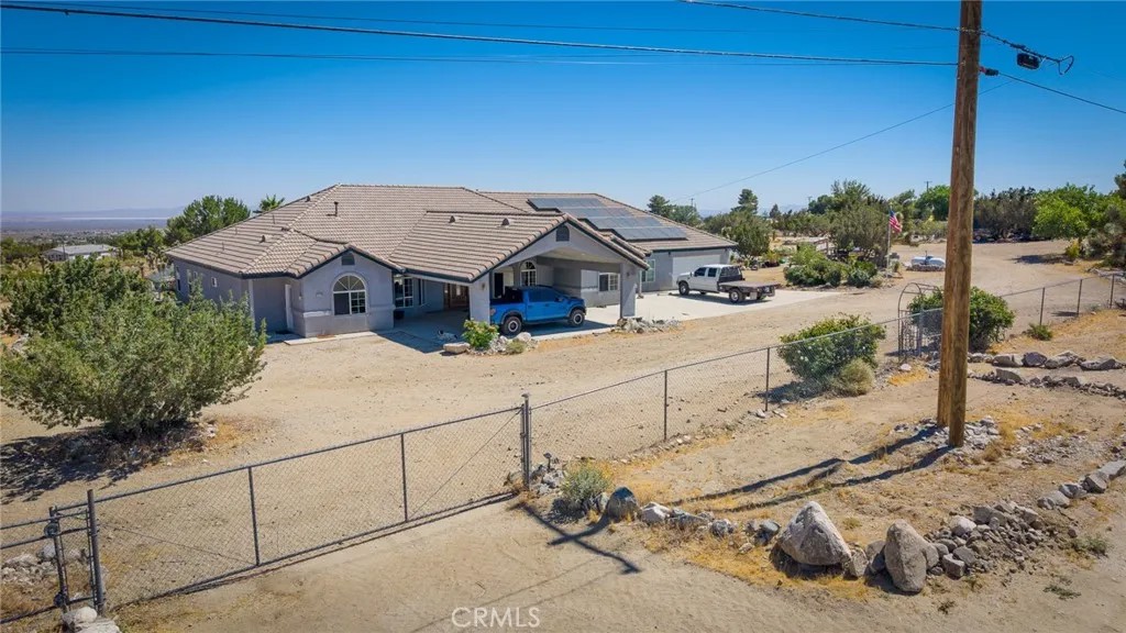1220 Smoke Tree