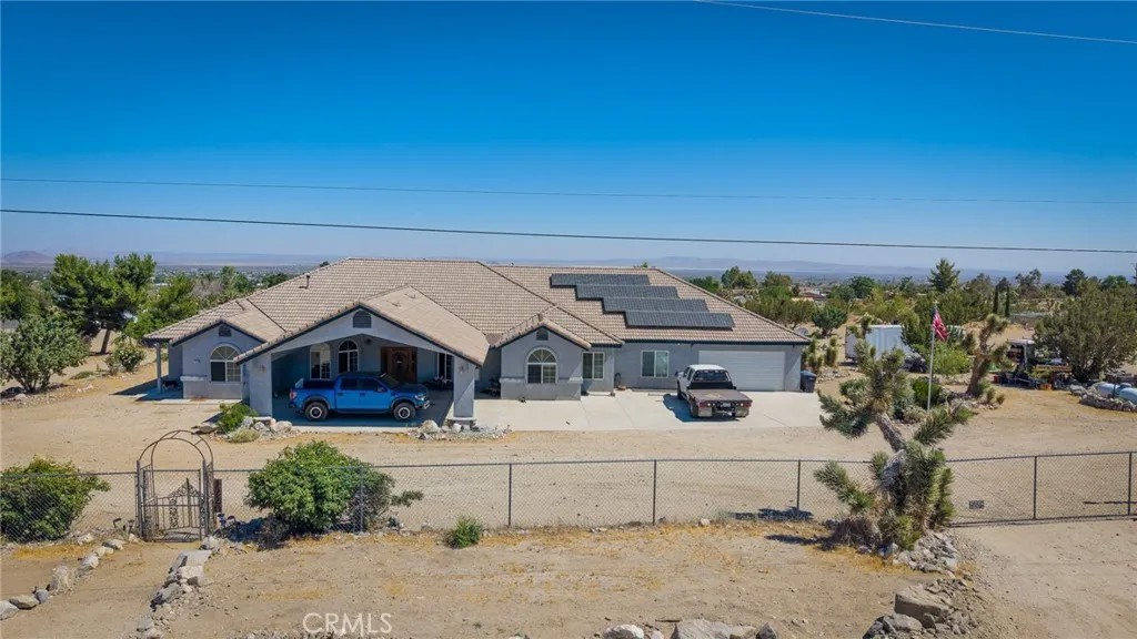 1220 Smoke Tree