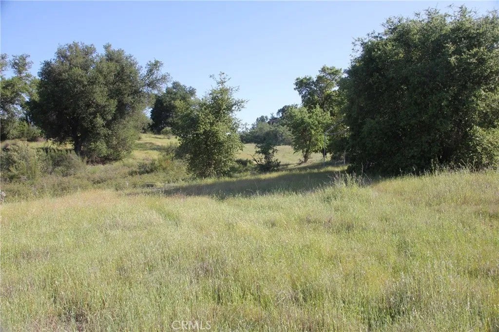 74650 Interlake