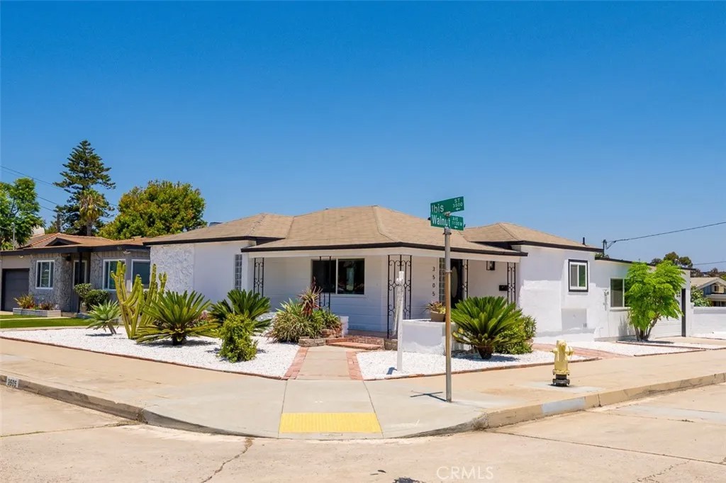 3505 Ibis Street