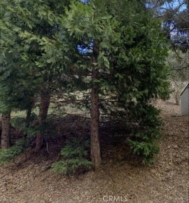0 Dart Canyon