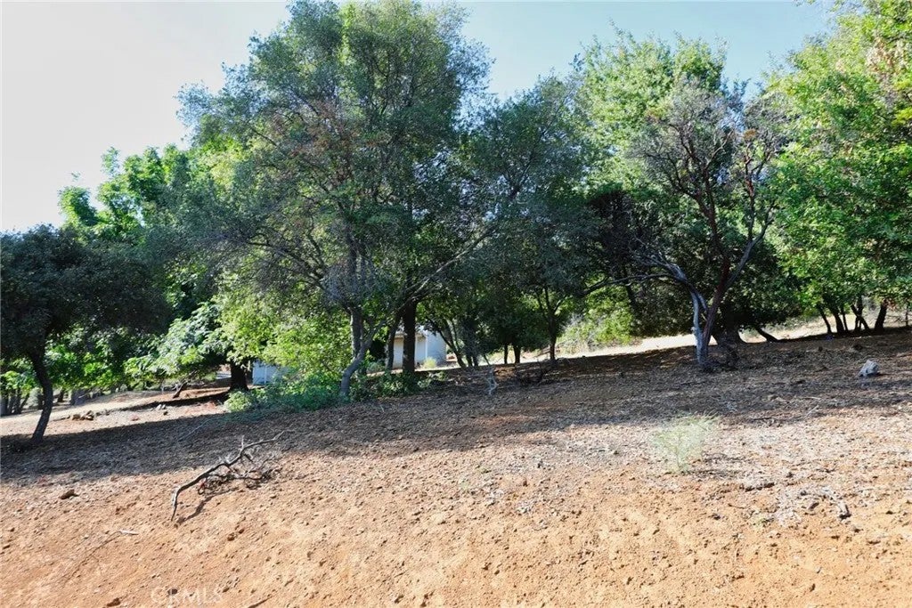 3407 Toyon Ct