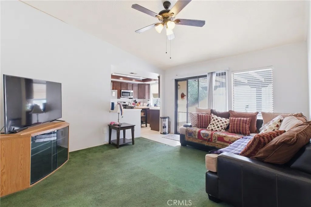 23886 Pine Field