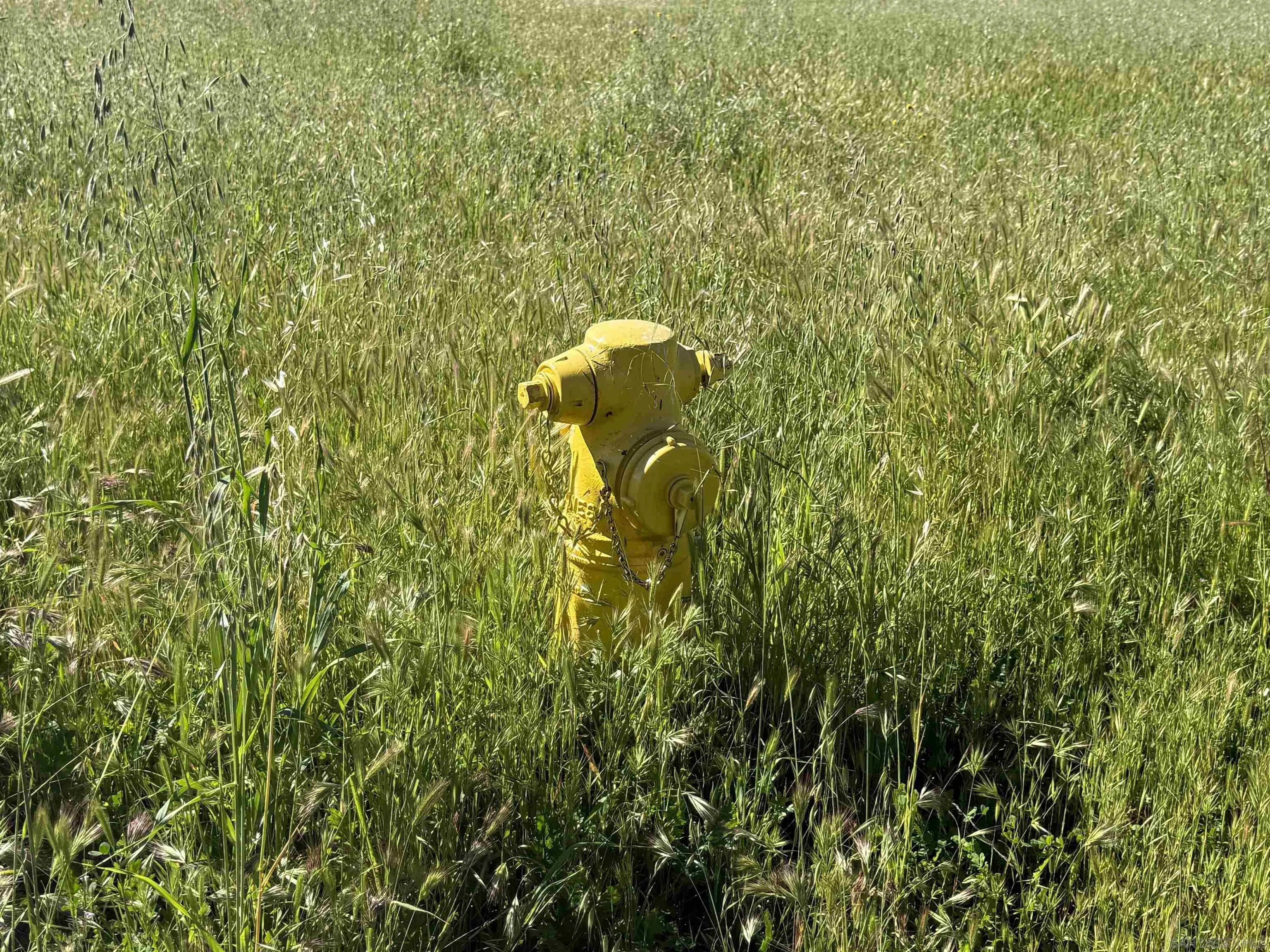 Luiseno Circle Dr 00