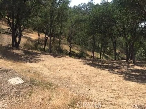Photo of 2677 Pine Ridge, Bradley, CA 93426 (MLS # NS26231409)