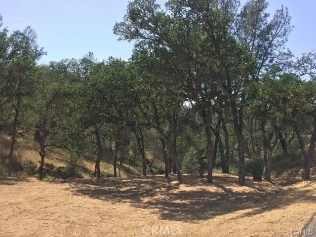 Photo of 2677 Pine Ridge, Bradley, CA 93426 (MLS # NS26231409)