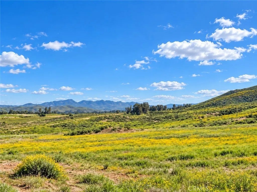 Photo of 21217 Sharp Rd, Perris, CA 92570 (MLS # CV26217389)