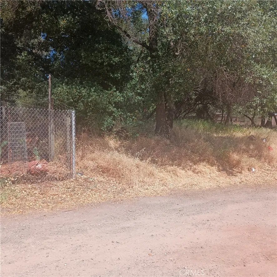 3519 Covelo