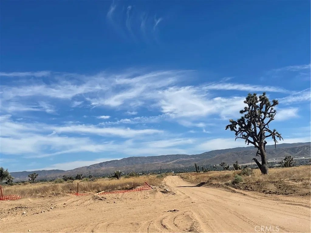Photo of 55 W Avenue J-10, Del Sur, CA 93536 (MLS # WS26160137)