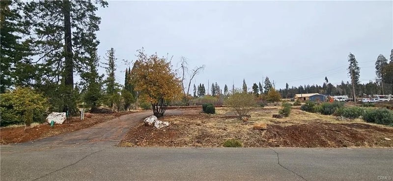 6197 Ponderosa