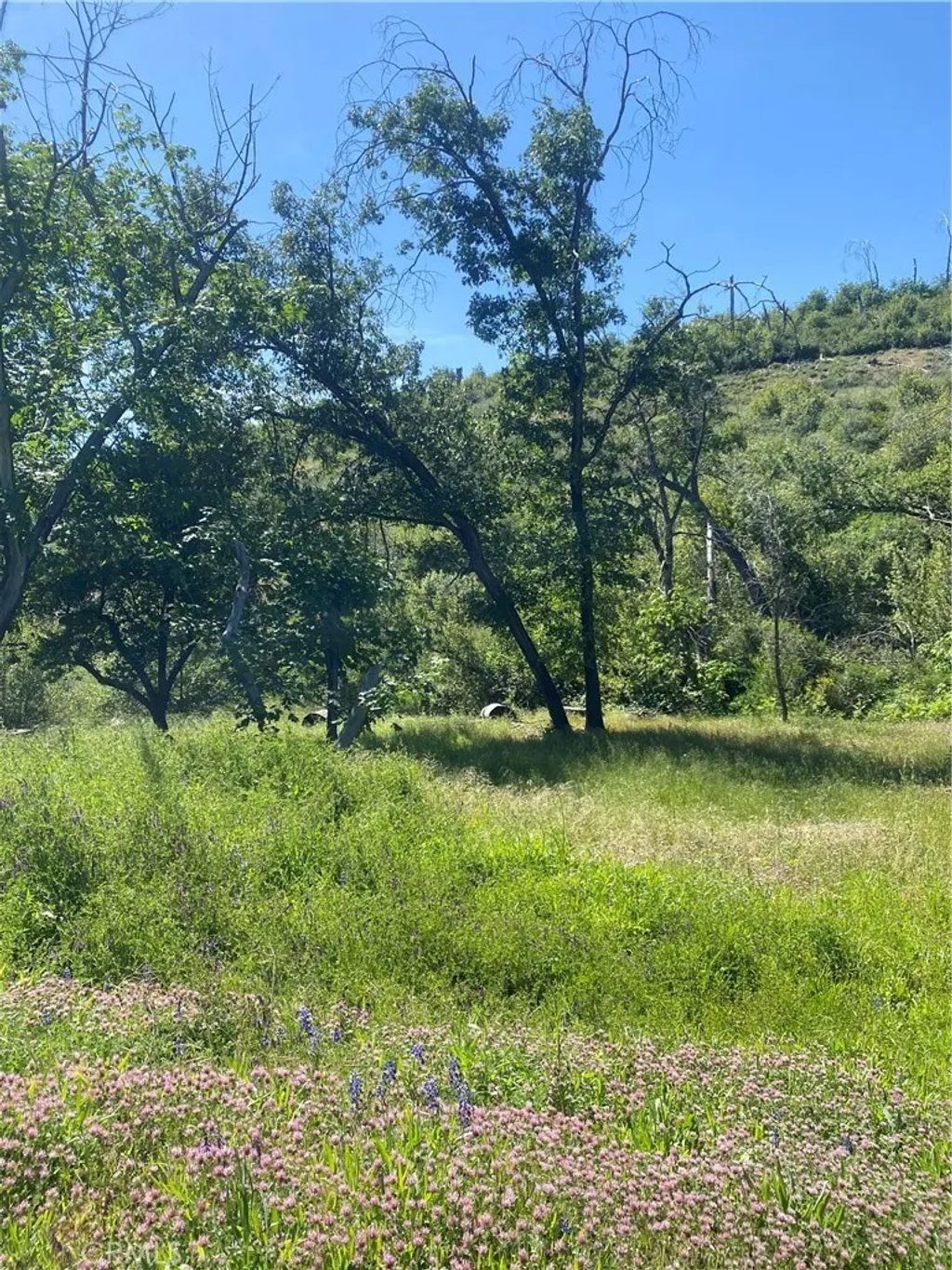 Photo of 1237 Storybook Ln, Paradise, CA 95969 (MLS # SN26088551)