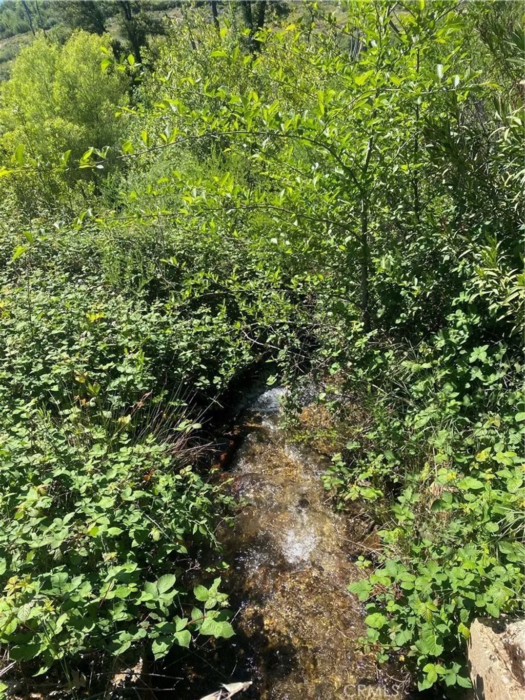 Photo of 1237 Storybook Ln, Paradise, CA 95969 (MLS # SN26088551)