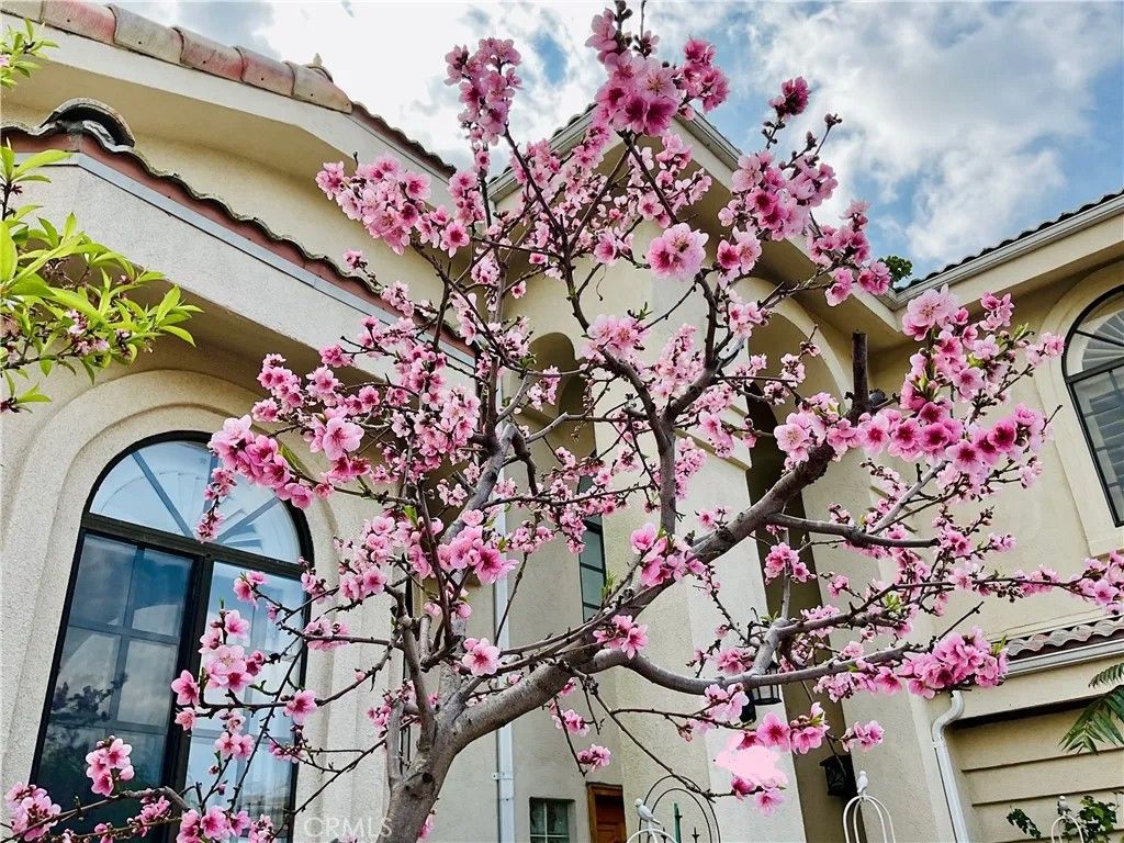 Photo of 2318 W 154th St, Gardena, CA 90249 (MLS # SB25252025)