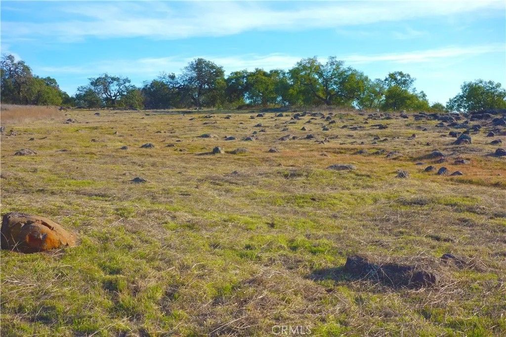 Photo of 20 Avocado Mesa, Murrieta, CA 92562 (MLS # OC25089988)