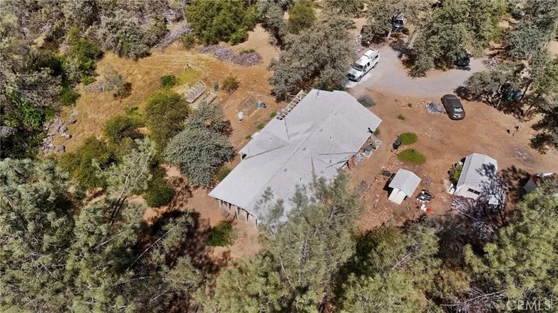 5040 Cougar Lane