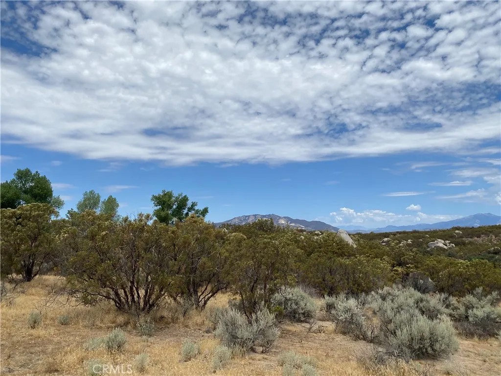 0 Elder Creek