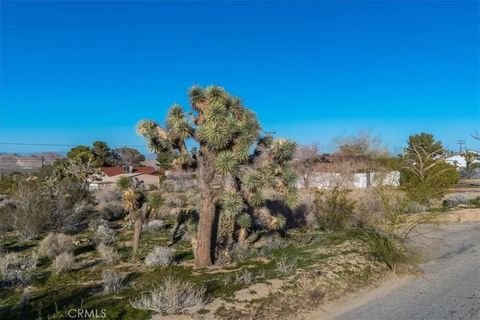 60432 Latham Joshua Tree CA 92252