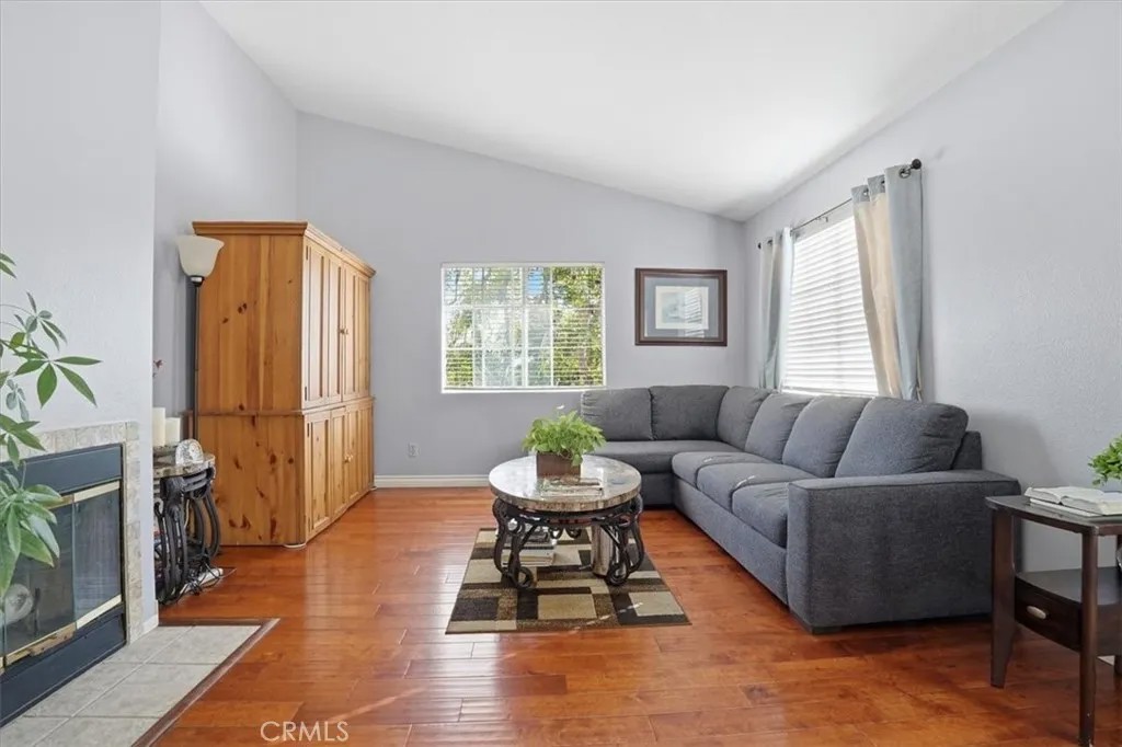 21204 Camelia 42