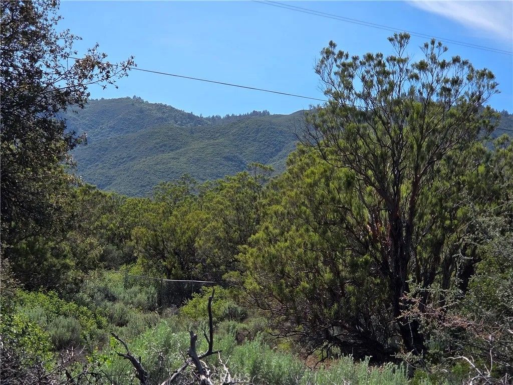 Photo of 37400 Tripp Flats, Anza, CA 92539 (MLS # SW26081583)