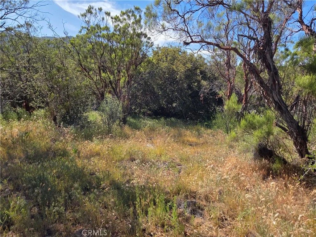 Photo of 37400 Tripp Flats, Anza, CA 92539 (MLS # SW26081583)