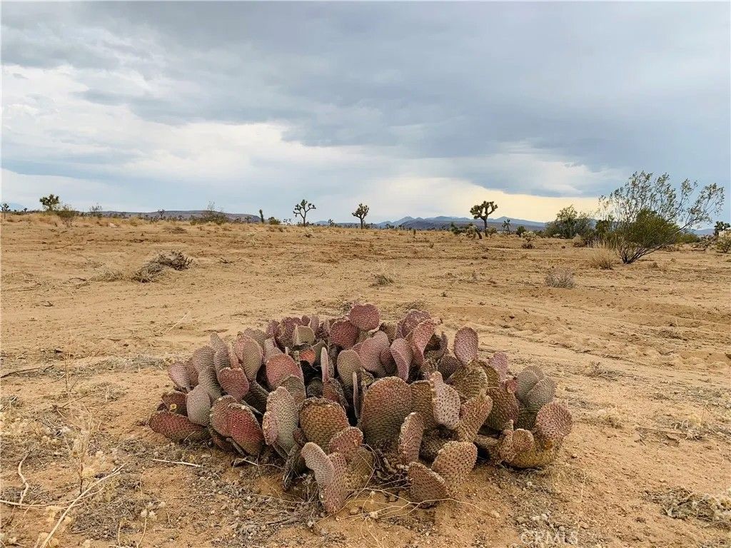 Photo of 58040 Junipero, Yucca Valley, CA 92284 (MLS # SW26018924)