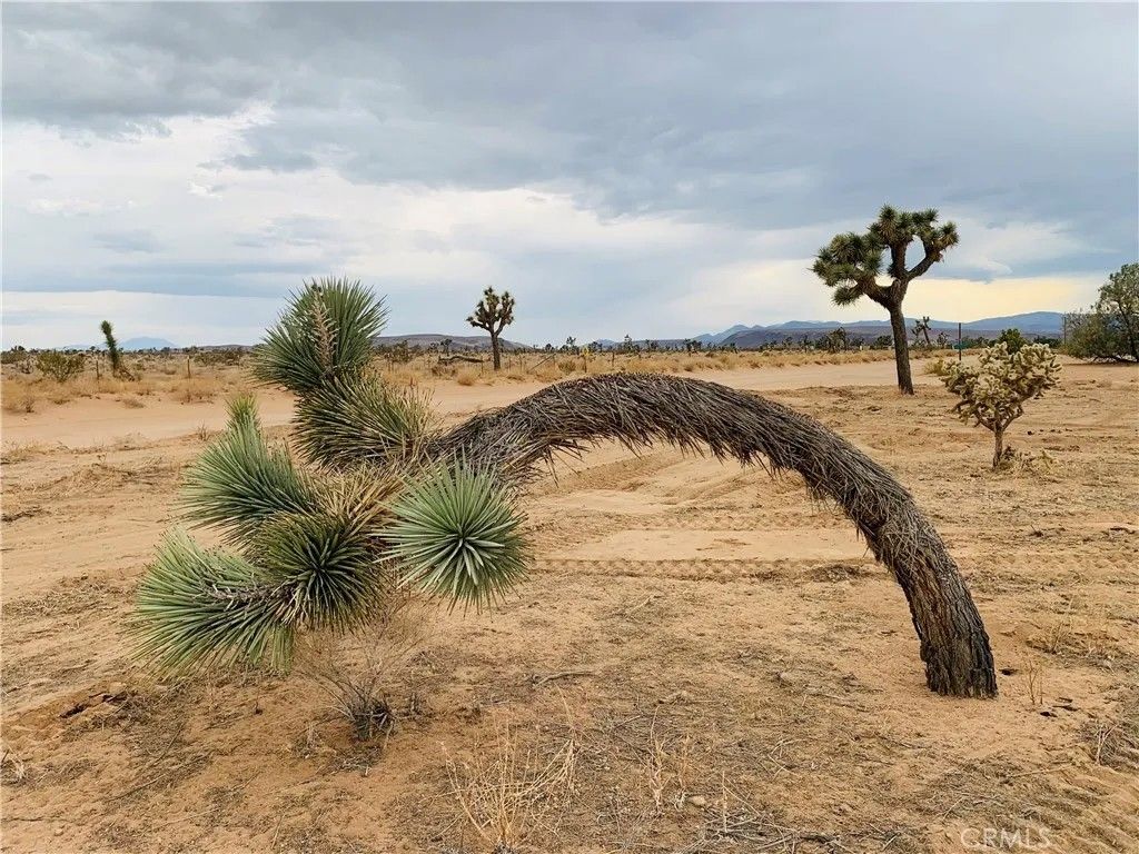 Photo of 58040 Junipero, Yucca Valley, CA 92284 (MLS # SW26018924)