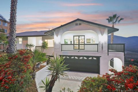 Photo of 1047 Sangamon Ave, Spring Valley, CA 91977 (MLS # 250044019)