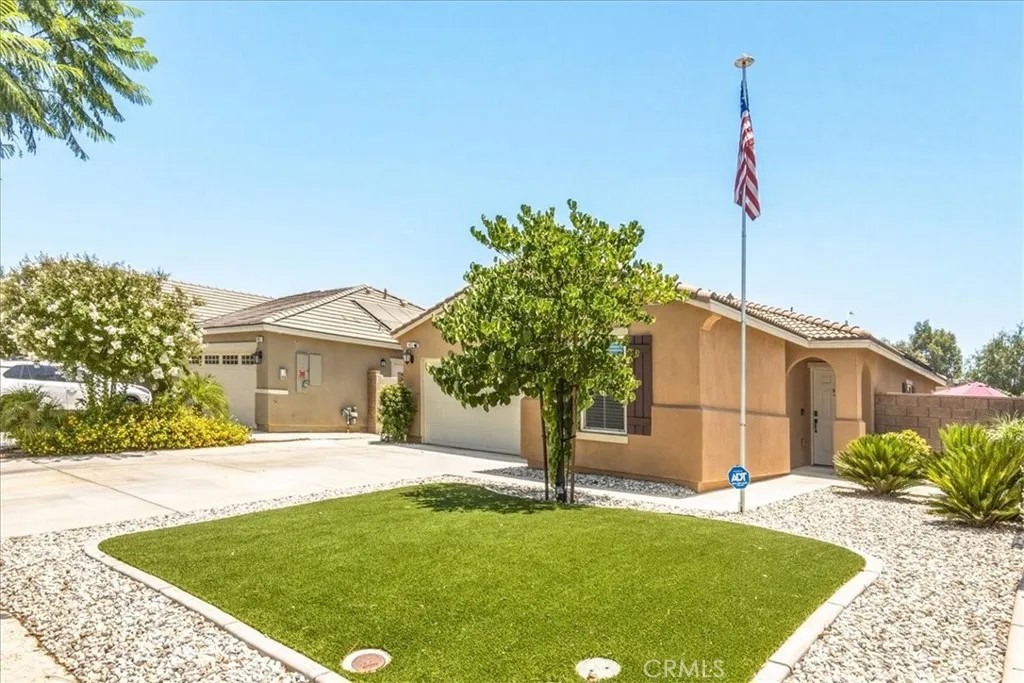 433 Willow