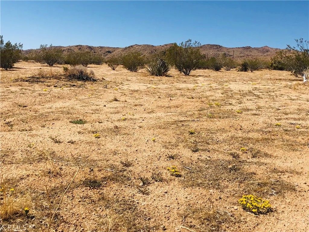 Photo of 2 Geronimo, Landers, CA 92285 (MLS # JT26017878)