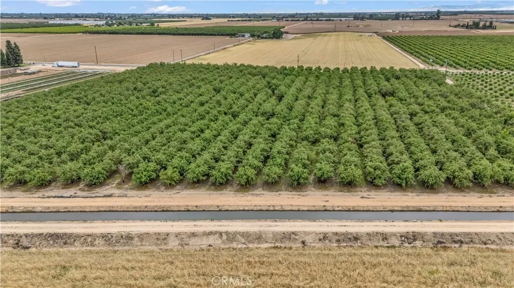 14706 Peach