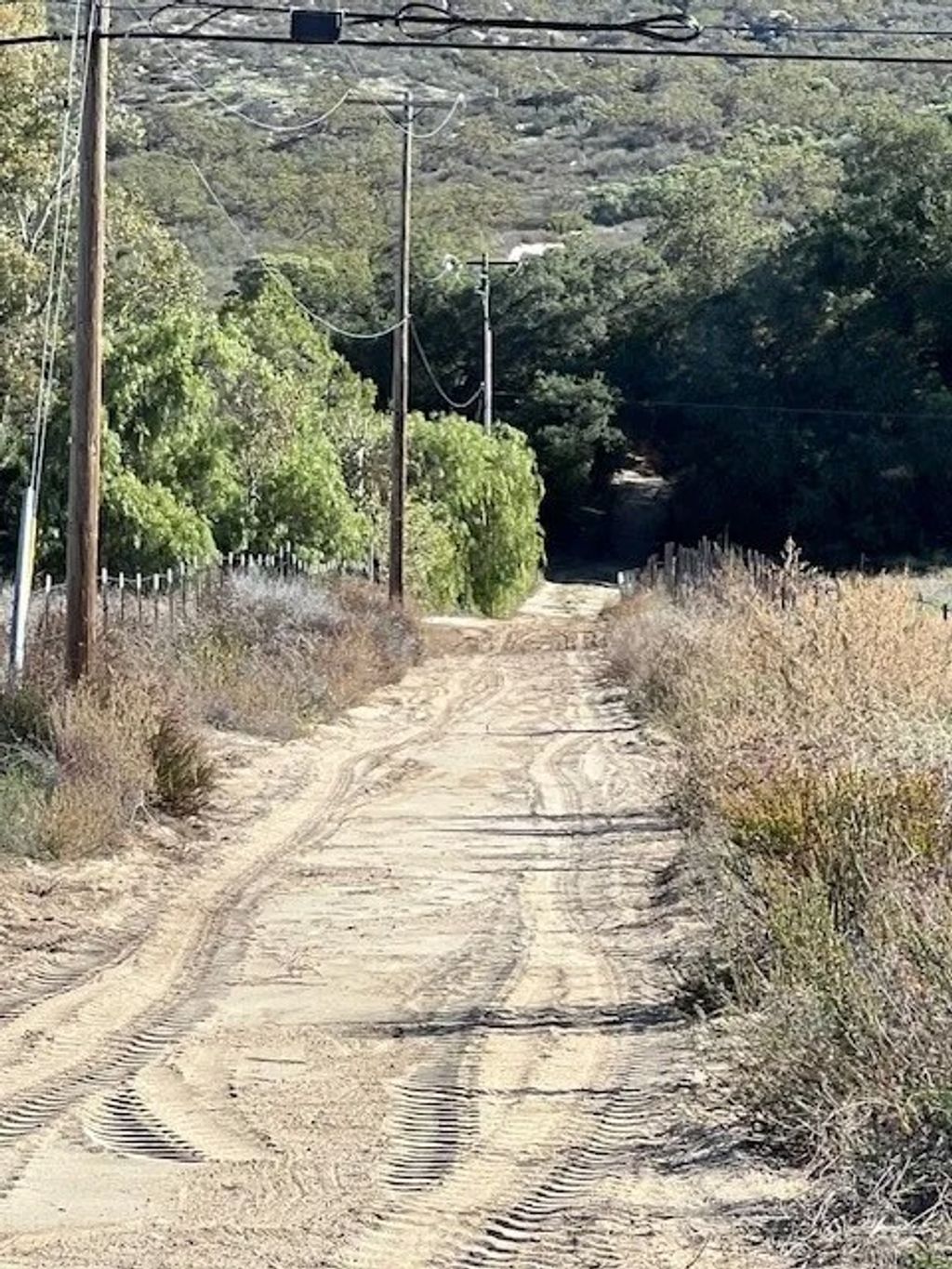 Photo of 39838 Reed Valley, Aguanga, CA 92536 (MLS # CV25277738)