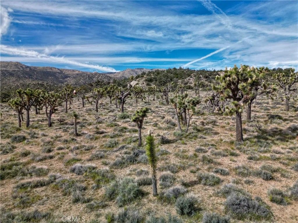 Photo of 27 Vista, Pioneertown, CA 92356 (MLS # JT26086481)
