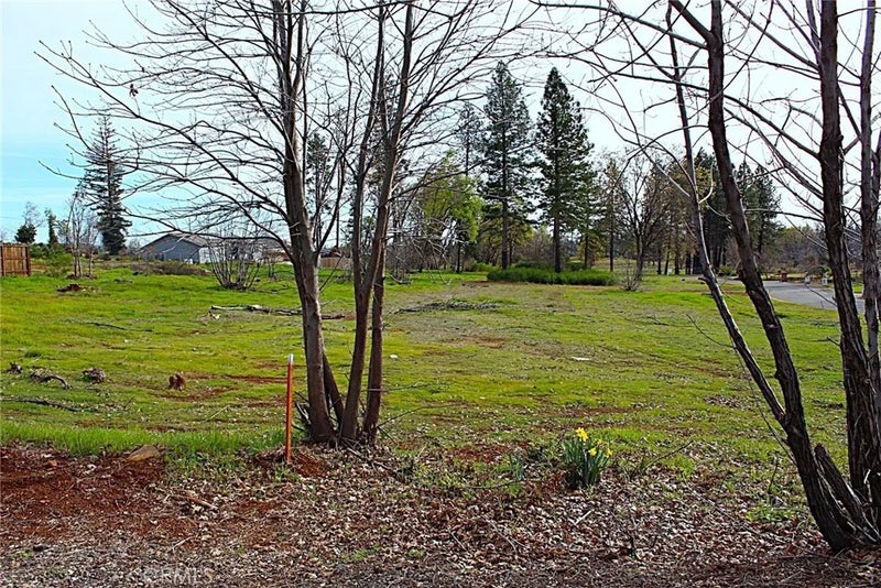 0 Summerwood