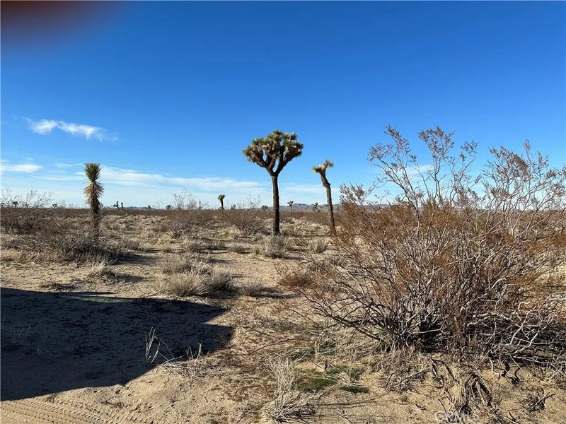 2 Wilson Ranch Rd