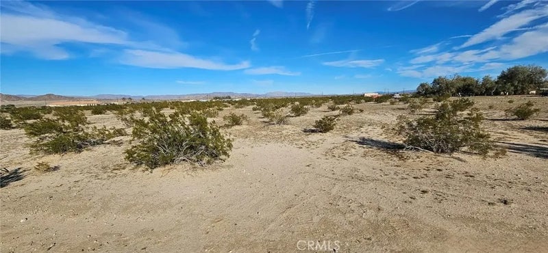 800 Desert Queen