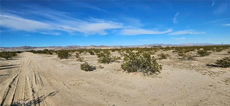 800 Desert Queen