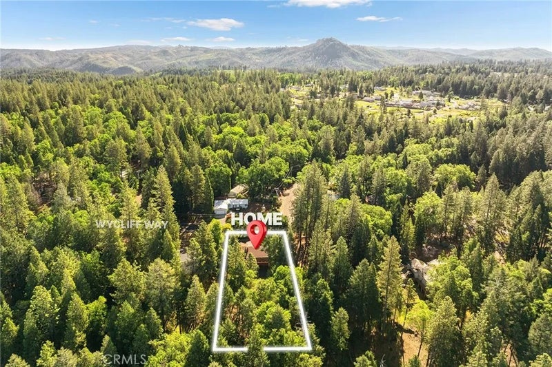 14219 Wycliff
