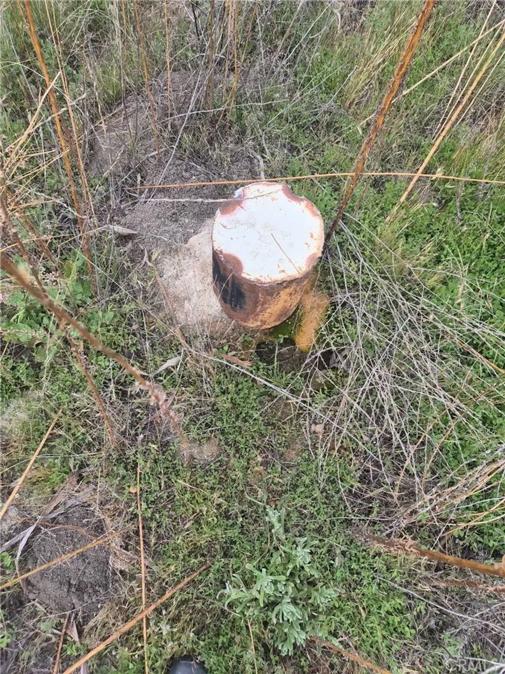 Photo of 1 Tule Peak, Anza, CA 92536 (MLS # SW26084852)