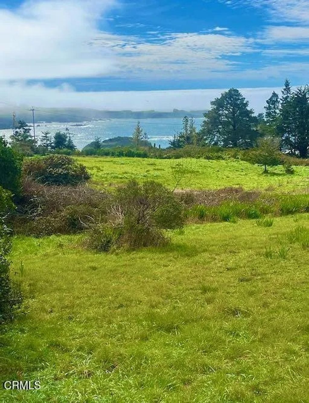 Photo of 44821 Baywood Dr, Mendocino, CA 95460 (MLS # C1-11285)