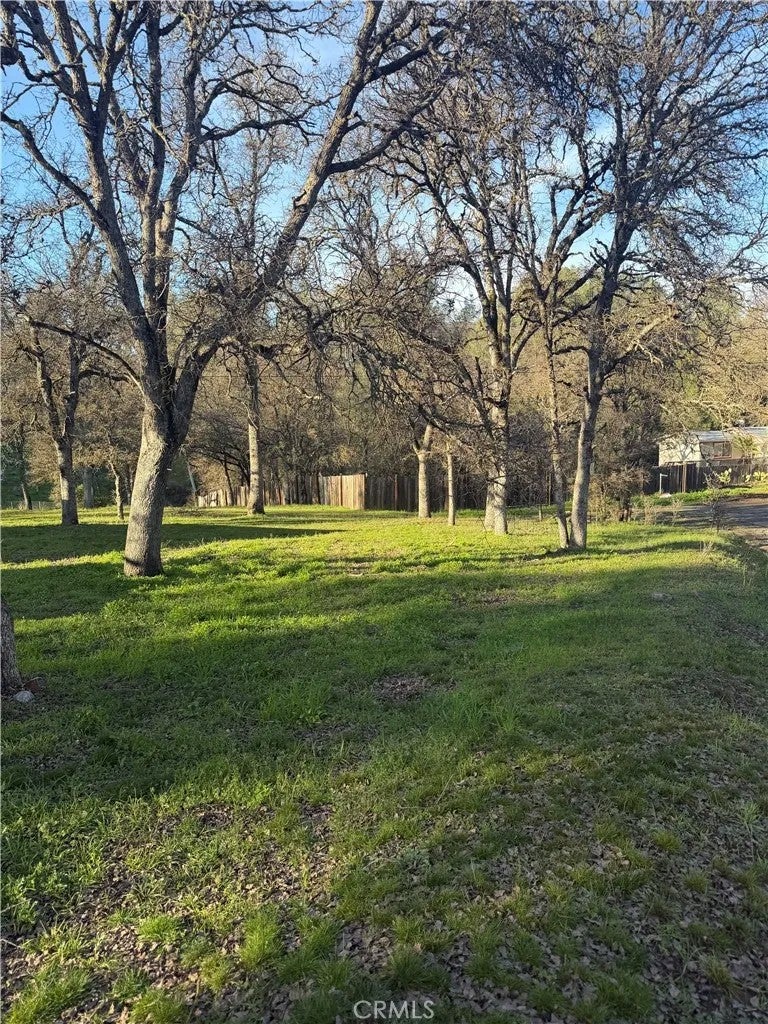 15545 Pine