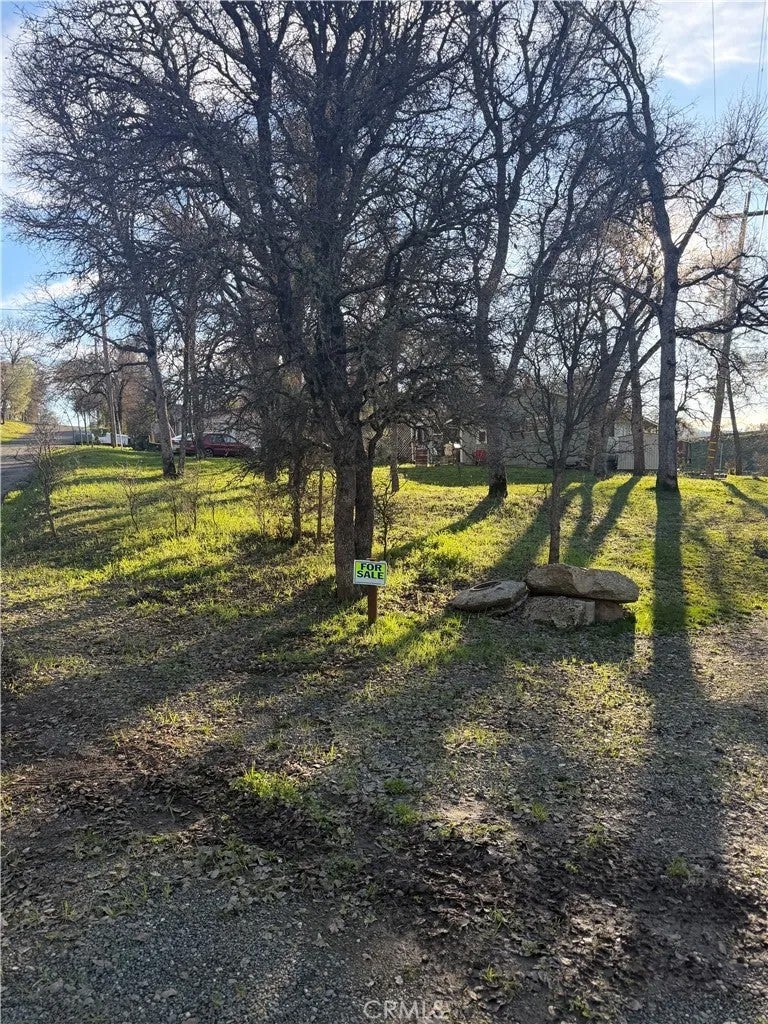 15545 Pine