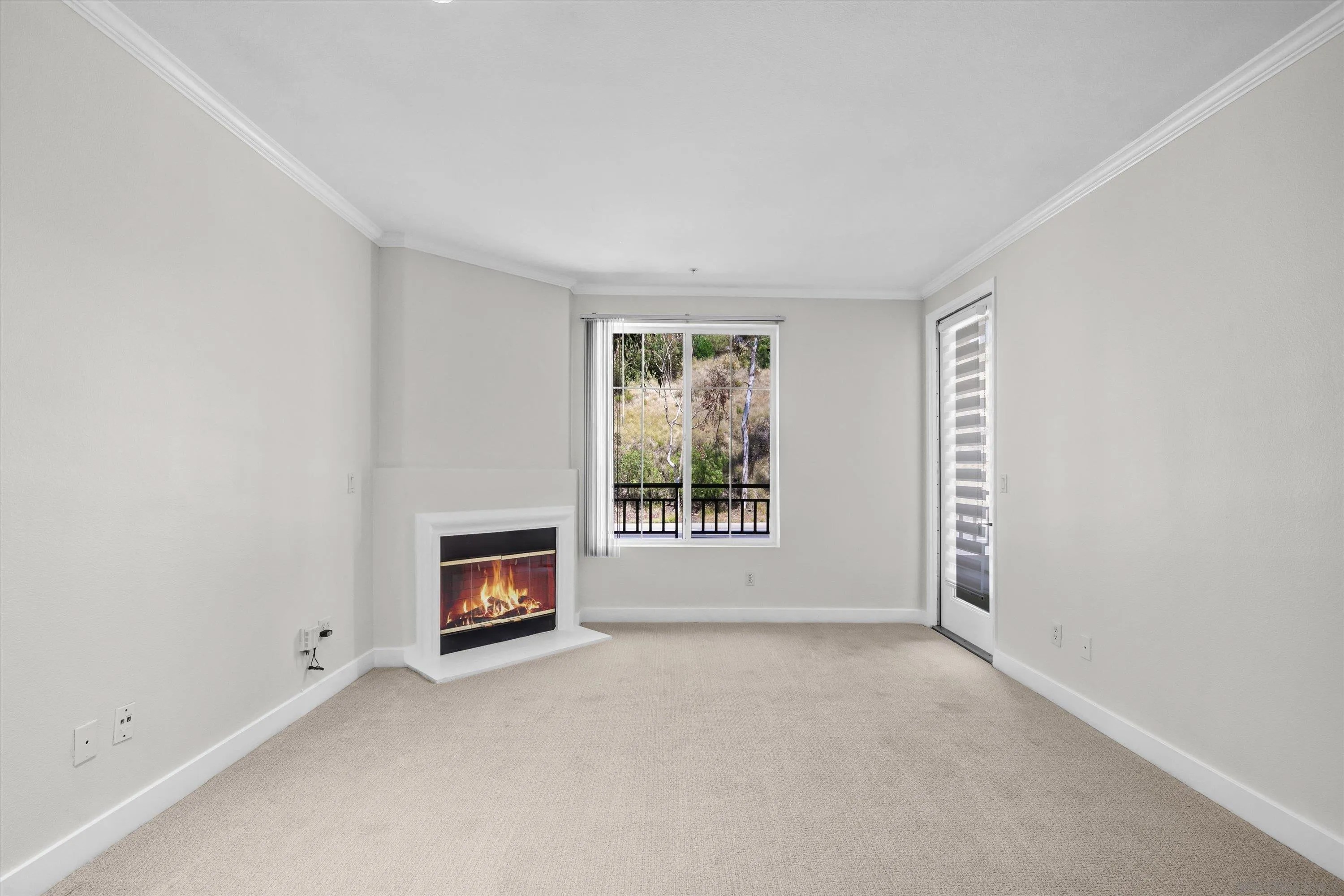 10848 Scripps Ranch Blvd. 205
