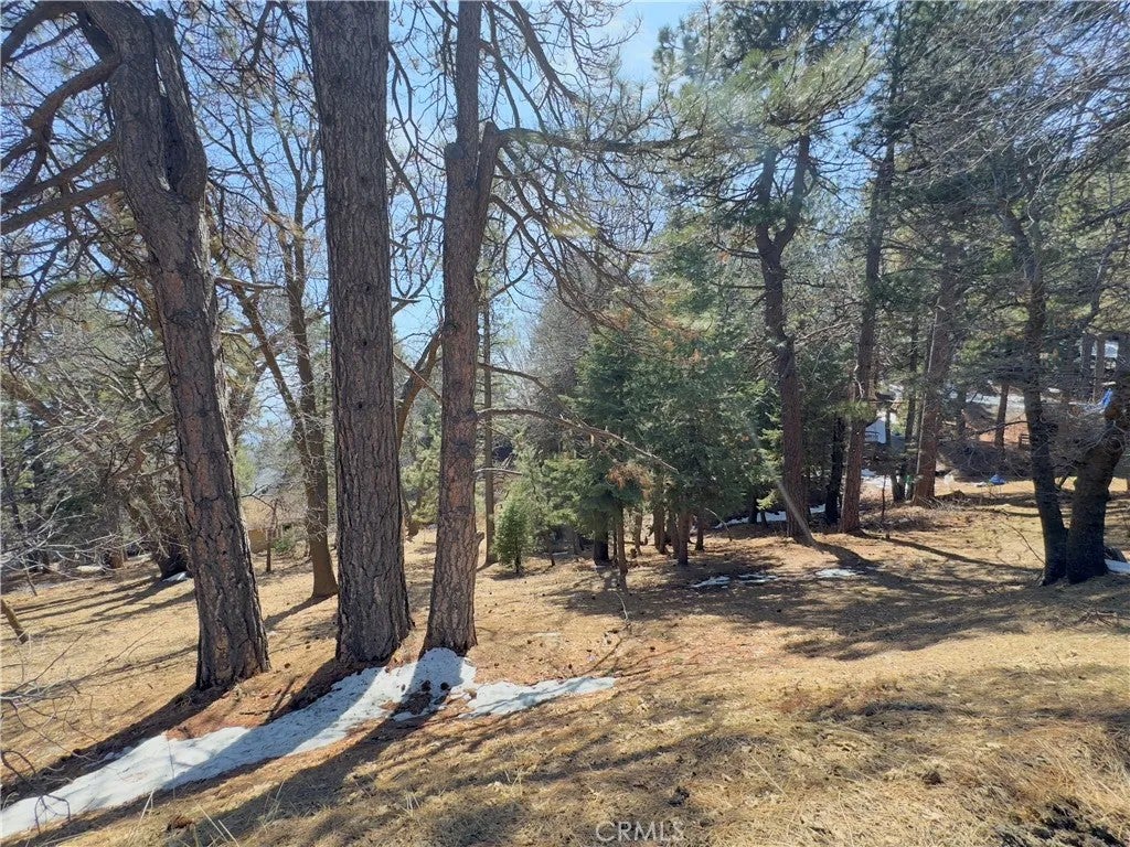 Photo of 0 Ca-18, Running Springs, CA 92382 (MLS # IG26222408)