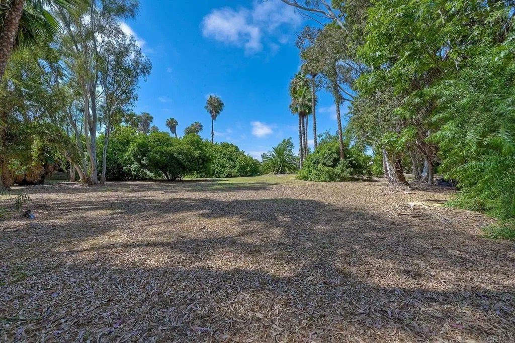 343 Hill Drive